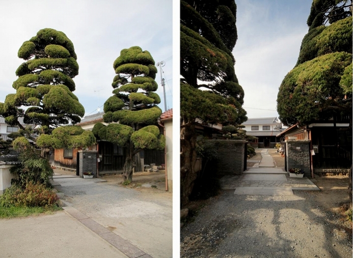 個人住宅（戸建て）の写真7