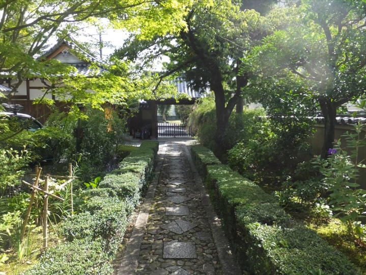 高槻Lifeの写真6