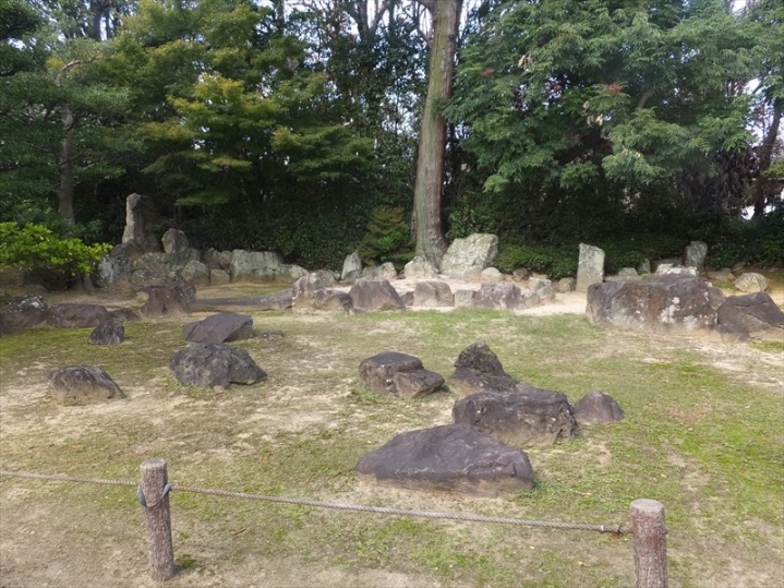 高槻Lifeの写真9