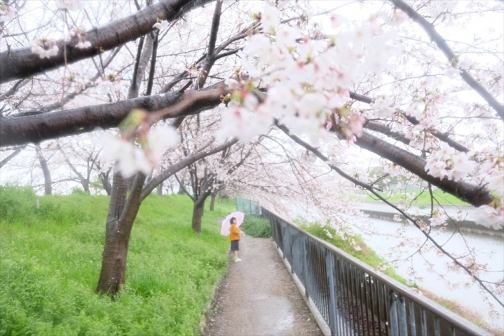 高槻Lifeの写真10