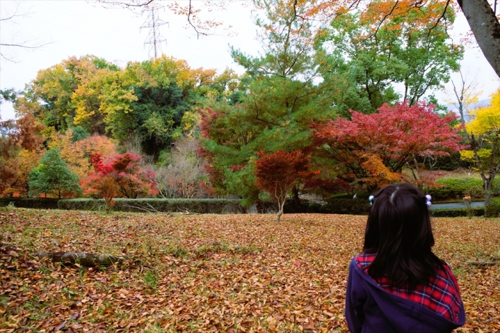 高槻Lifeの写真10