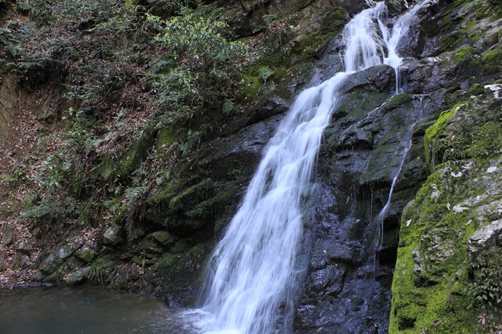 高槻Lifeの写真3